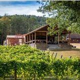 Bear Claw Vineyards & Winery, Inc.