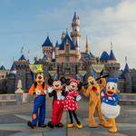 Disneyland Park