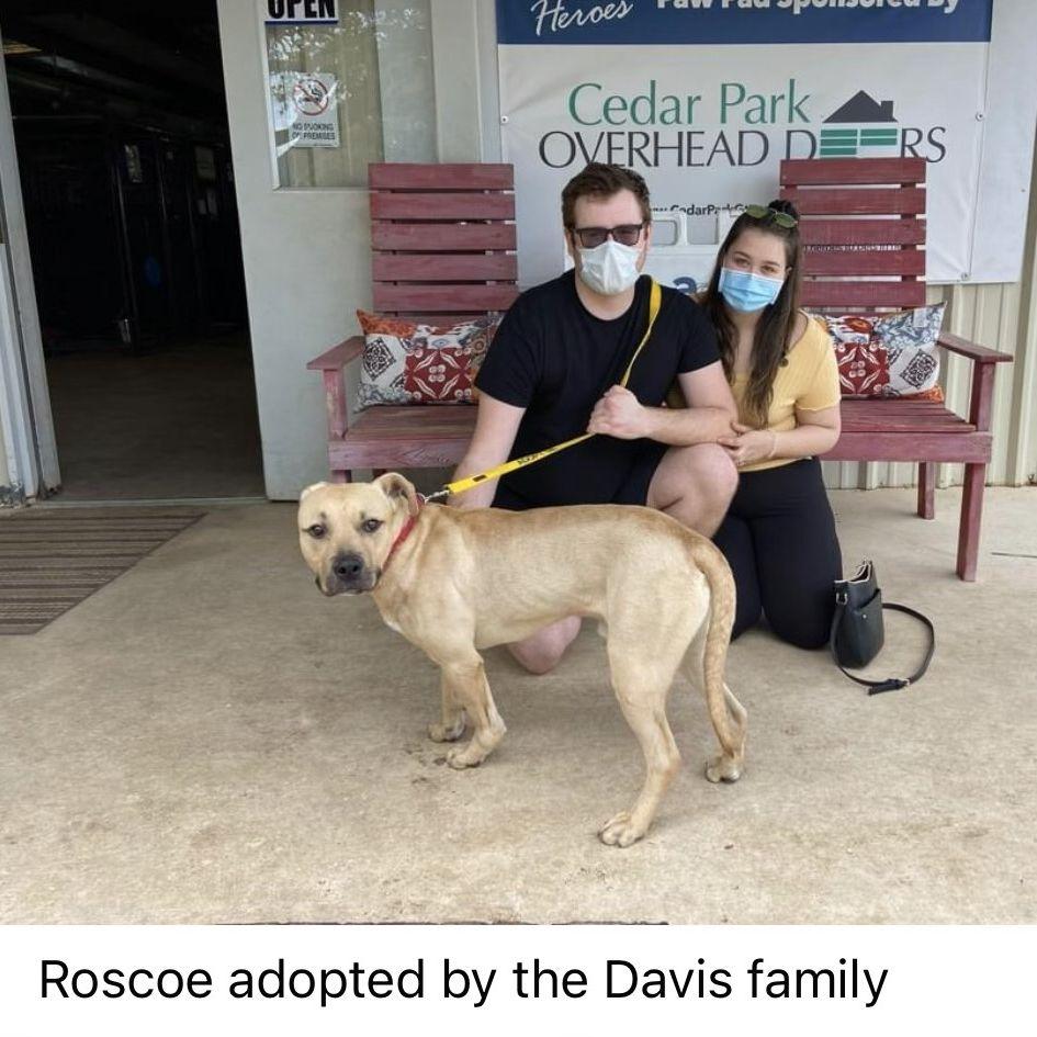 Adopted Arlo - 2021