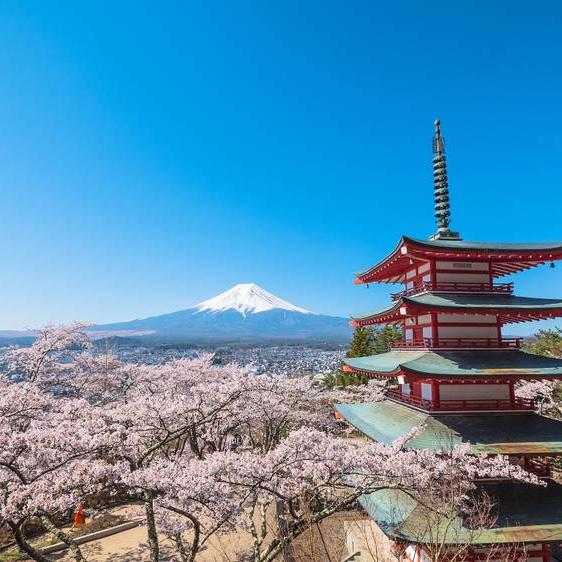 Adventure awaits in Japan!