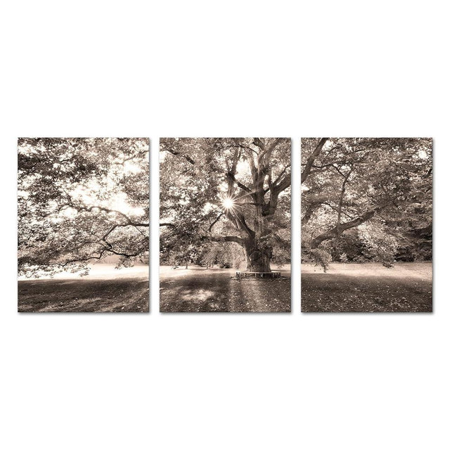 Artsbay Big Tree Wall Art Natural Forest Picture Artwork Life Landscape Paintings Decor in Warm Sunshine for Living Room Bedroom Home Office 12" W x 16" H x 3PCS