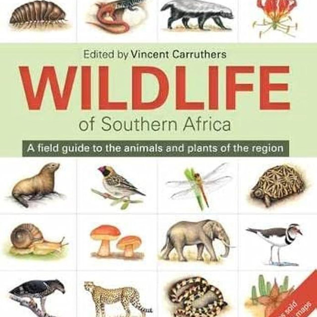 Wildlife of Southern Africa: A field guide to the animals and plants of the region