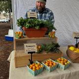 The Covington Farmers Market