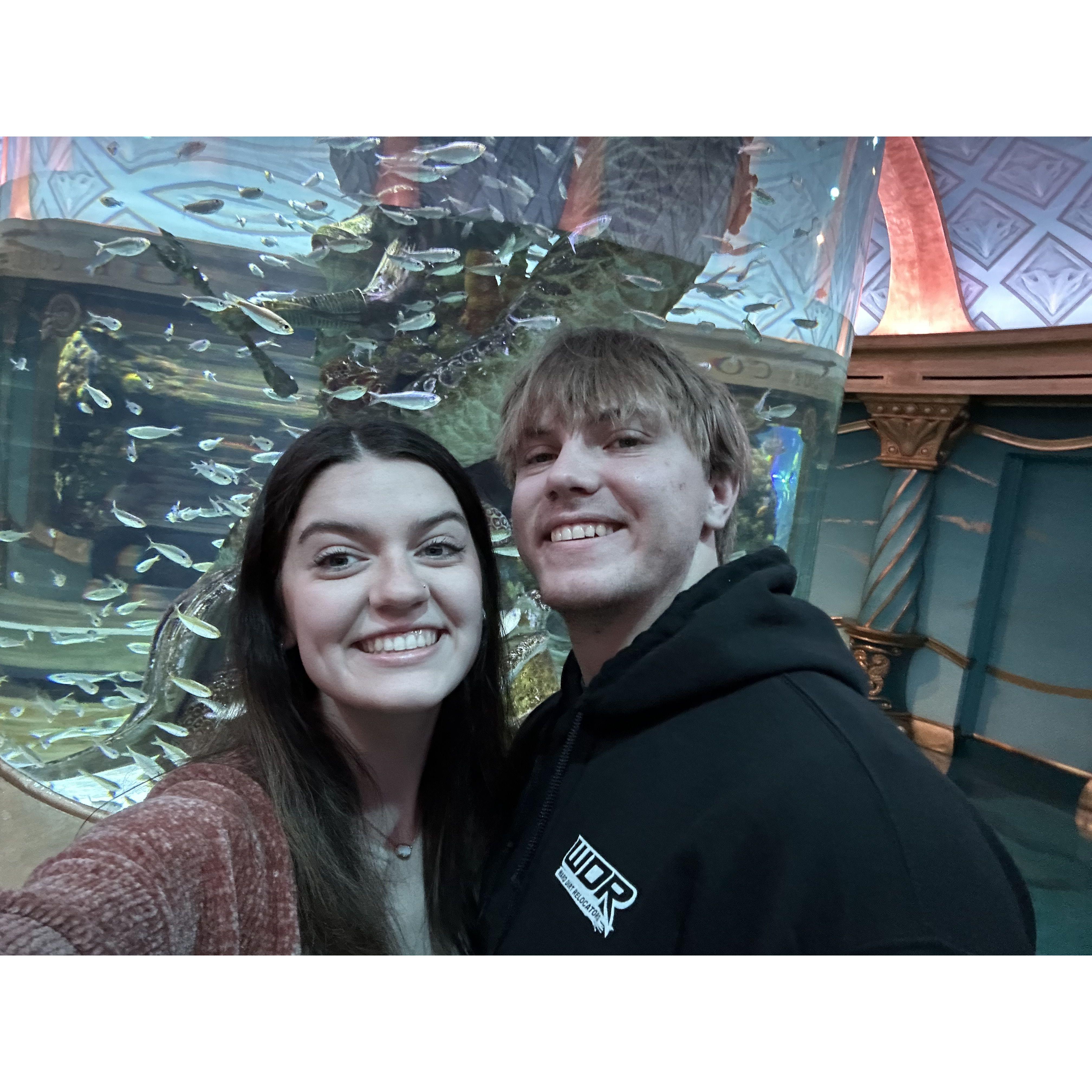 For our 1 year anniversary, We went to the aquarium in Branson
