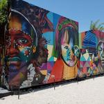 Wynwood Walls