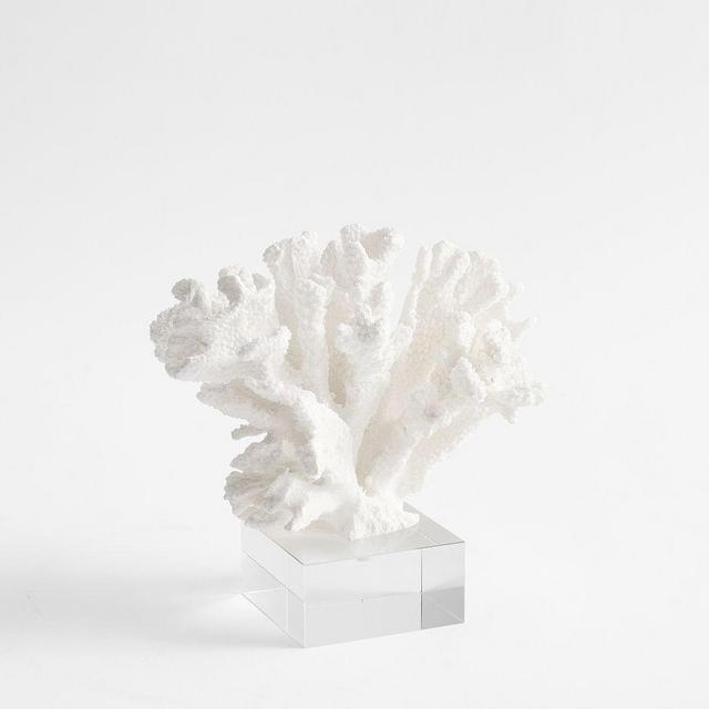 Coral Bookend, Small