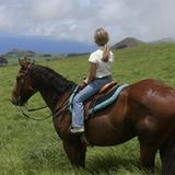 Kahua Ranch Ltd