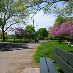 McCarren Park