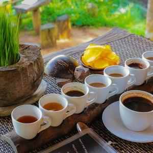 Coffee Tasting for Two
