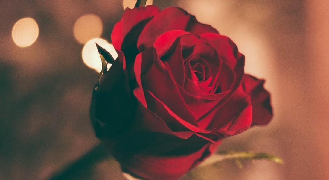 The Wedding Website of Nick Valenzuela and Angela Vasquez