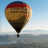 Grape Escape Balloon Adventures
