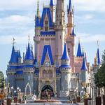 Walt Disney World: Go to all the parks and experience the magic.