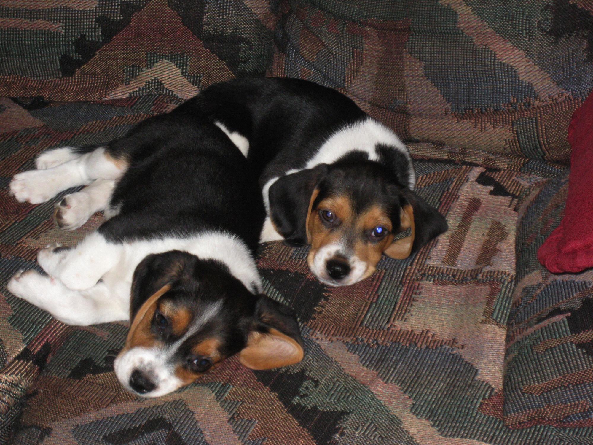 Mike and Judy 2007