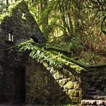 Witch's Castle