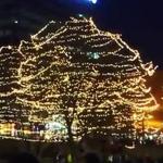 Gene Leahy Mall at The RiverFront