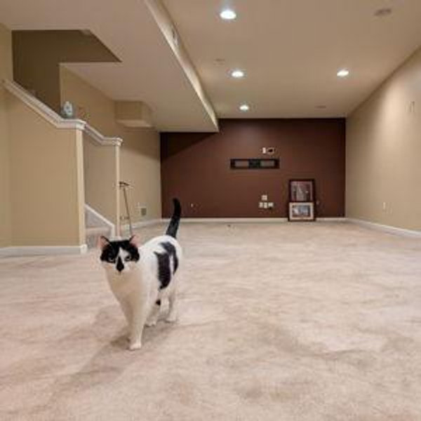 Furnishings - Basement & Guest Rooms