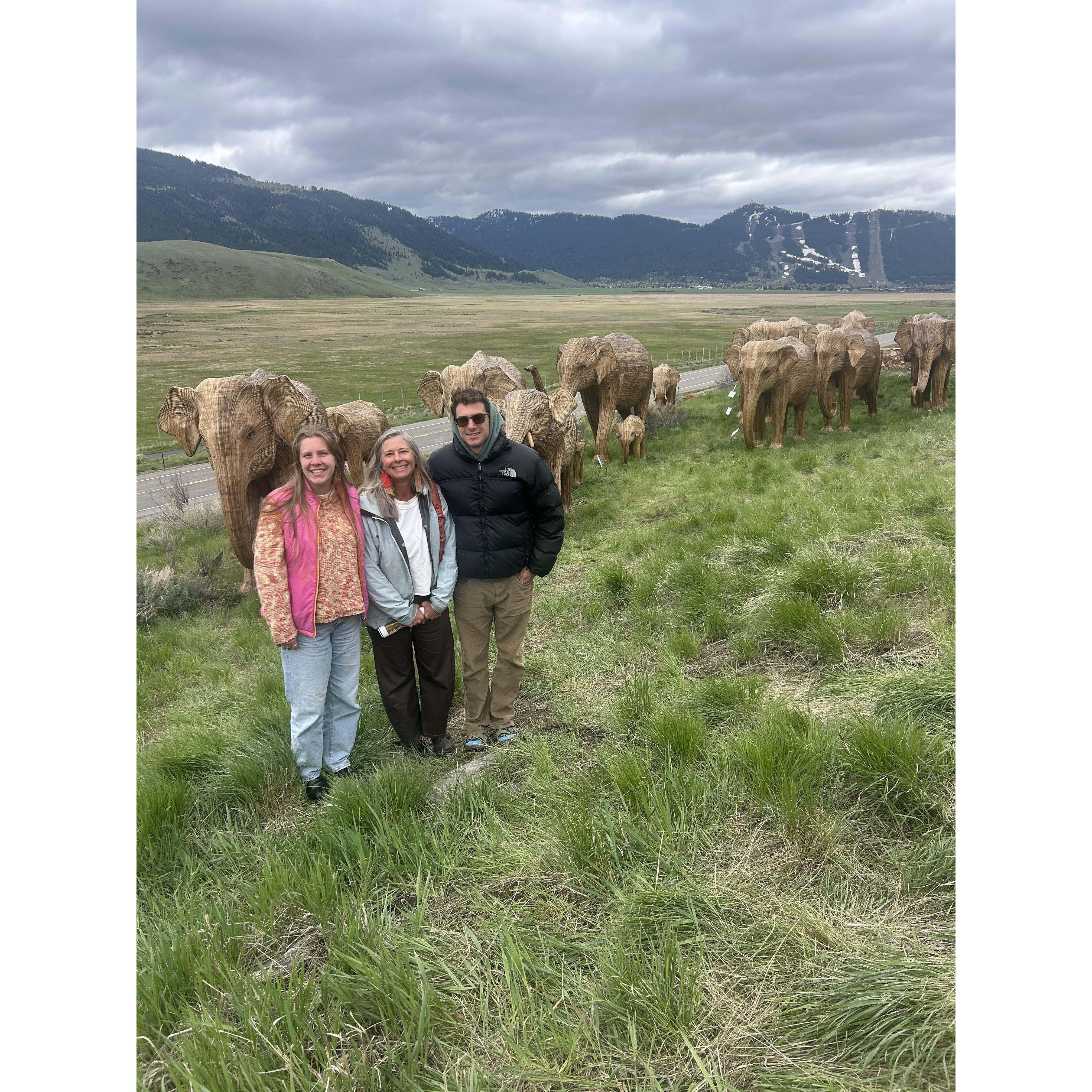 at the museum of wildlife art