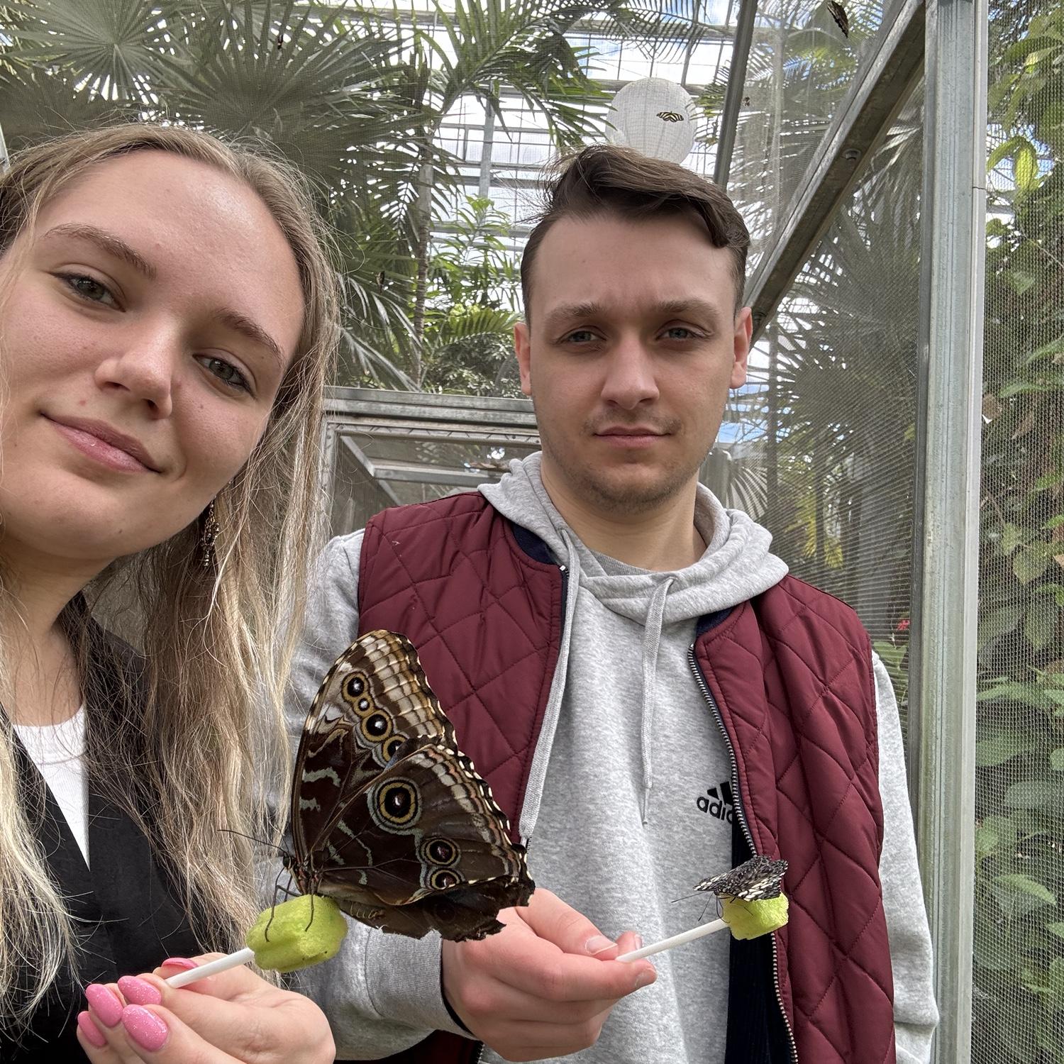 Seeing butterflies🦋