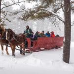 Carriole Mont-Tremblant Sleighrides
