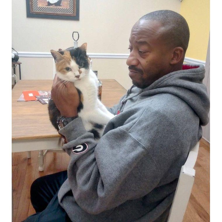 You marry me.. You marry my cat!