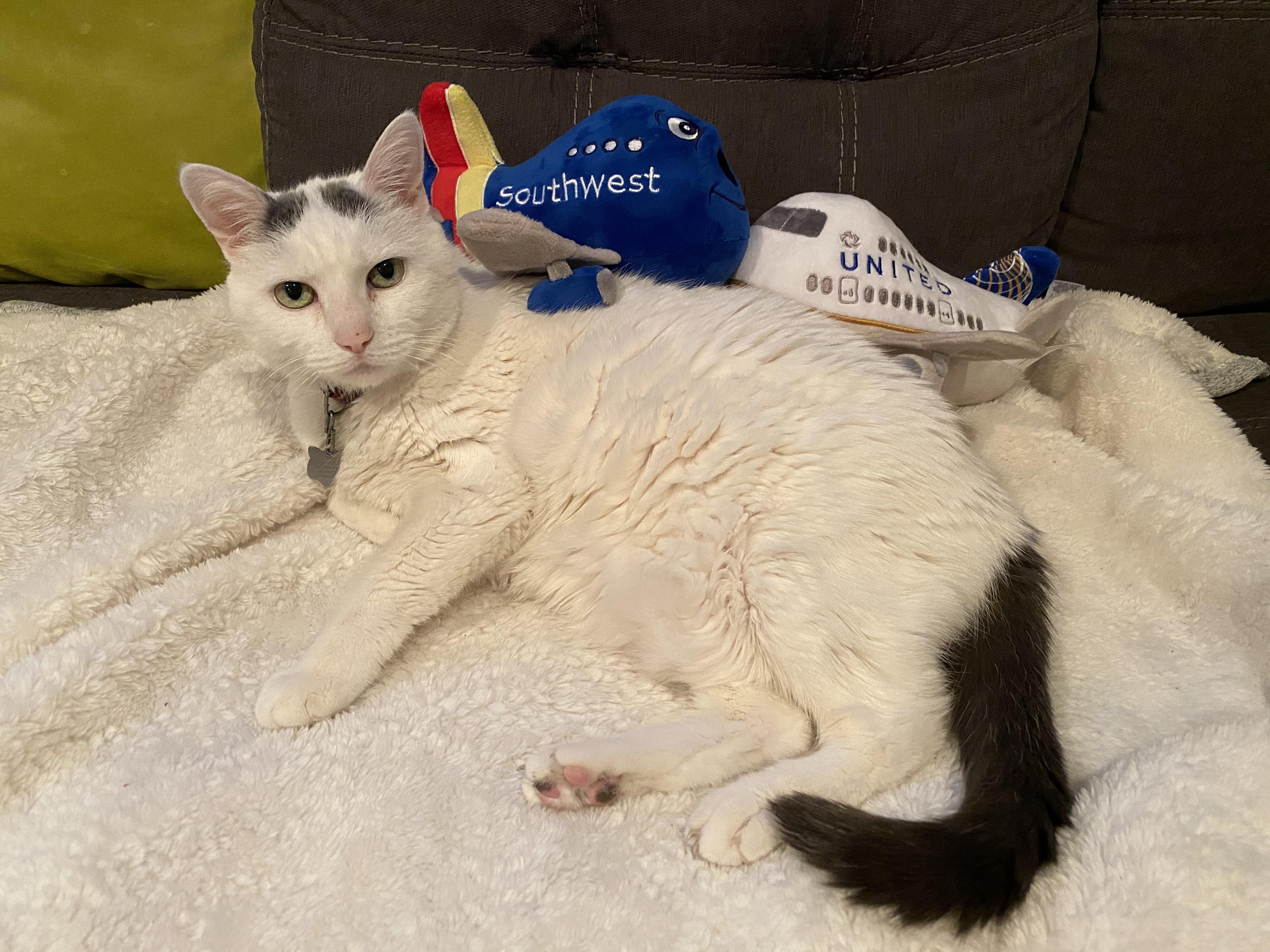 The Wedding Website of Jason Schmidt and Caroline Cantner