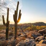 Hiking at South Mountain Park and Preserve