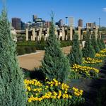 Centennial Olympic Park