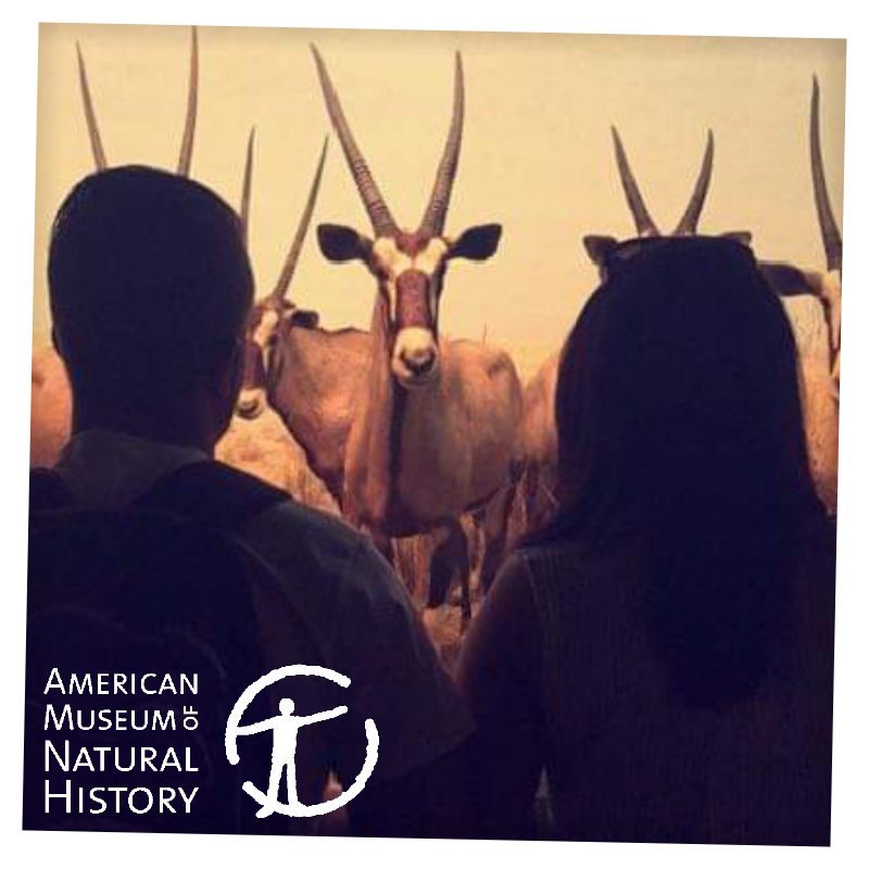 American Museum Of Natural History, New York, New York