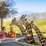 The Living Desert Zoo and Gardens