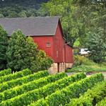 Johnson Estate Winery