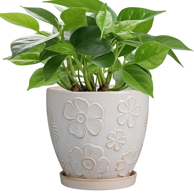 MPotTo 6.9 Inch Plant Pot with Drainage Hole and Saucer Ceramic Planter for Indoor Plant Flower Pot for Orchid Succulents Plants White