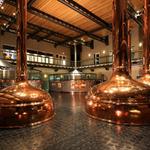 Sierra Nevada Brewing Co.