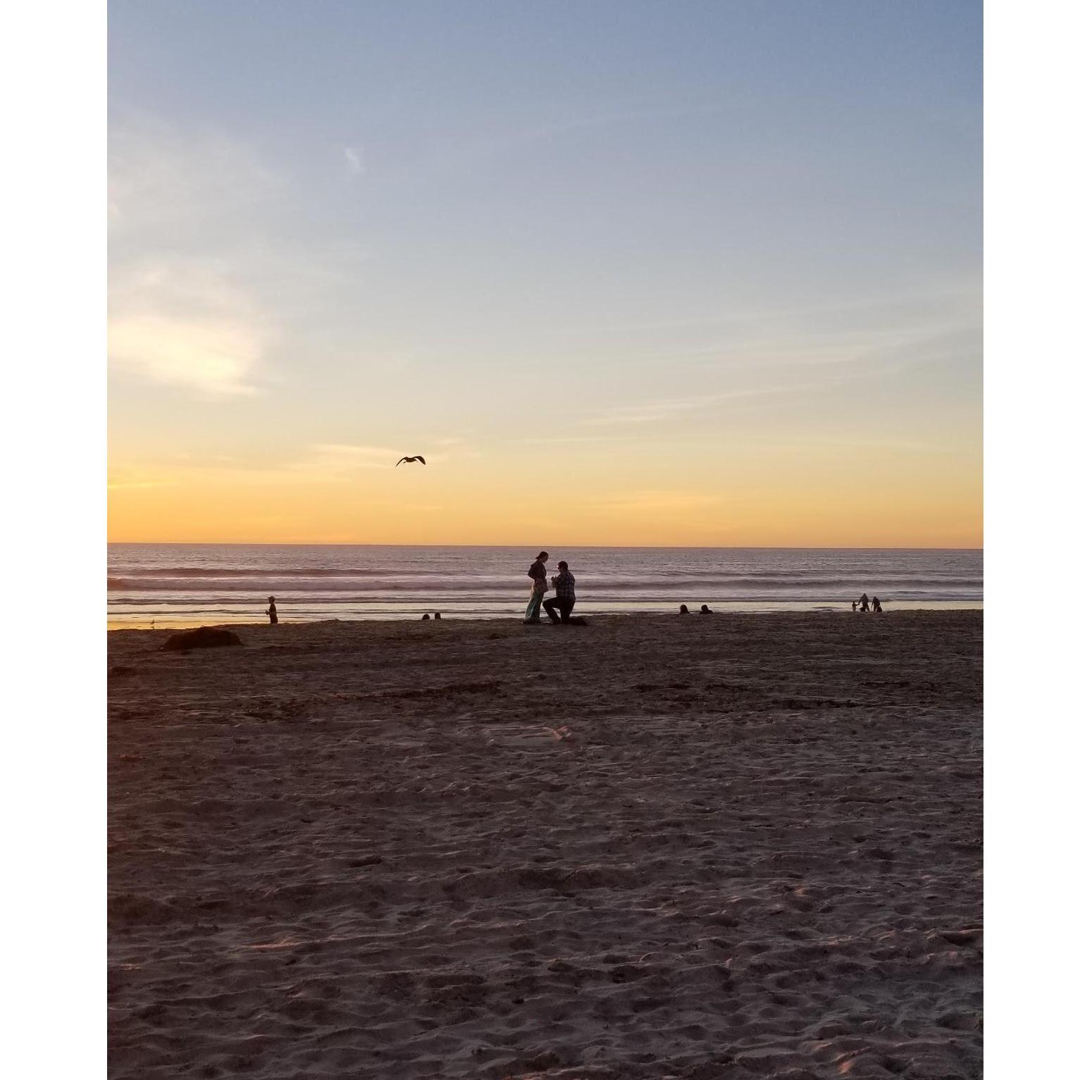 The proposal!