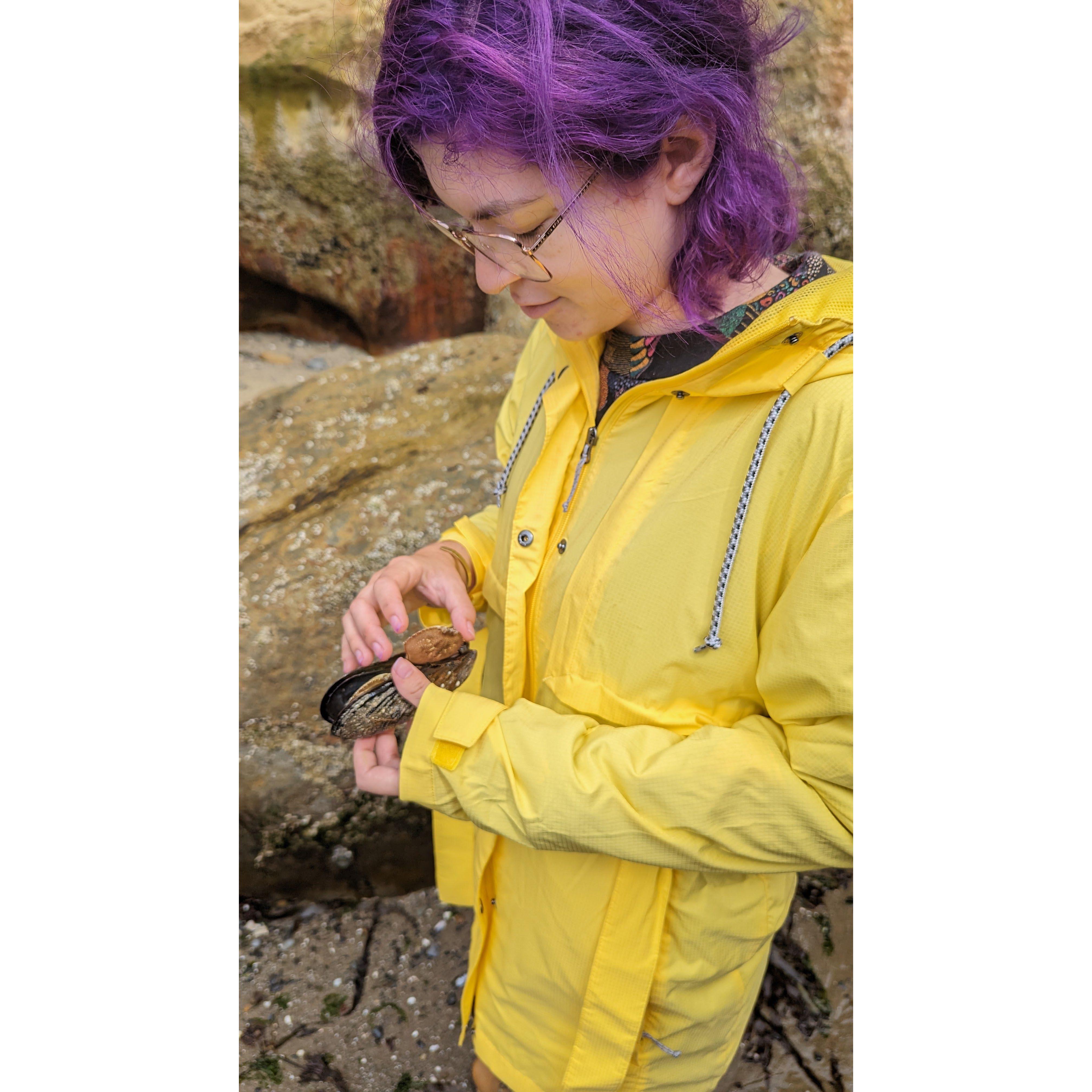 Pacific Cite tide pools
