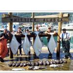 Halibut Fishing in Whittier
