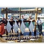 Halibut Fishing in Whittier