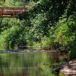 Hillsborough Riverwalk