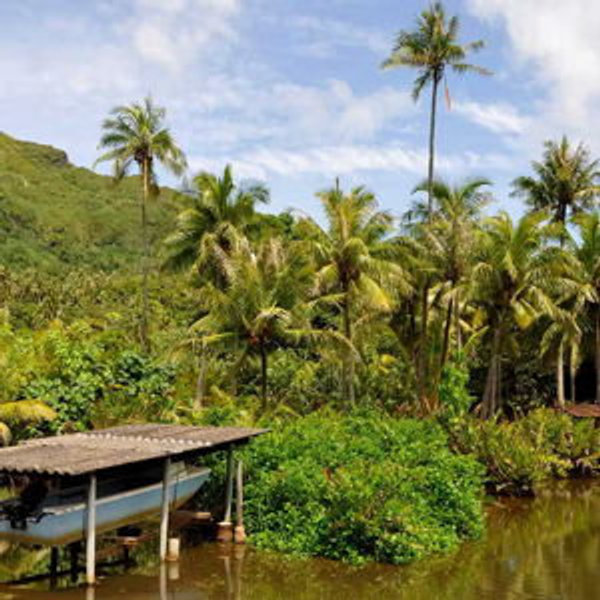 Fa'aroa River Kayaking in Raiatea, French Polynesia