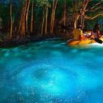 Bahía Bioluminiscente