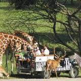Fossil Rim Wildlife Center