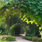 Port St. Lucie Botanical Gardens