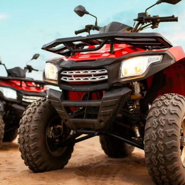 Honeymoon Excursion: ATV Tour