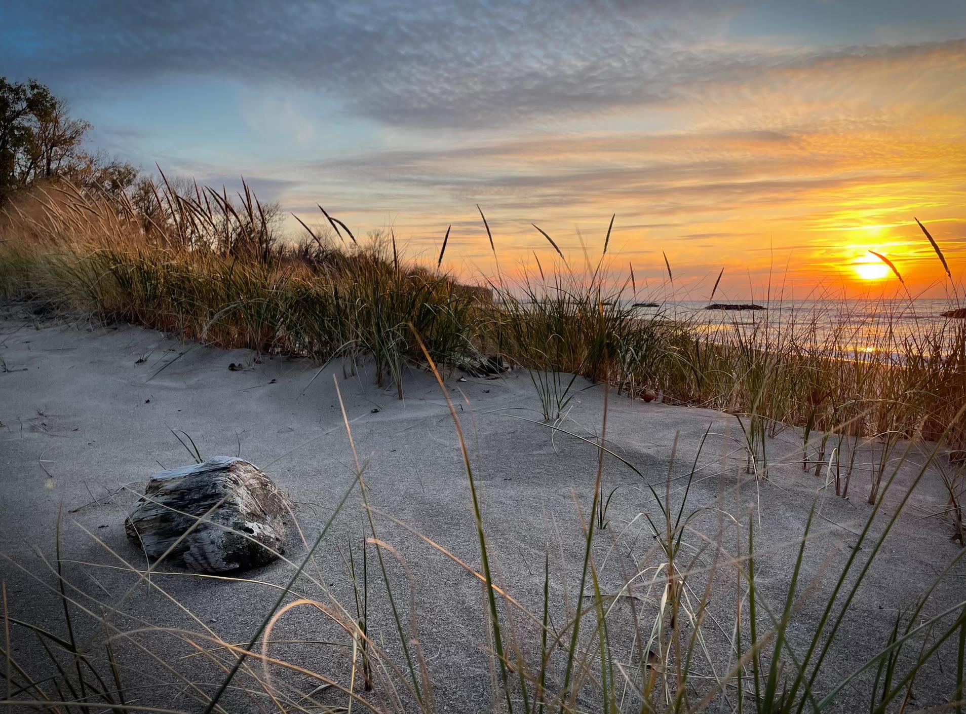 The Wedding Website of Thaddeus O'Connell and Madeline Leffingwell