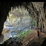 Parque Nacional de las Cavernas del Río Camuy