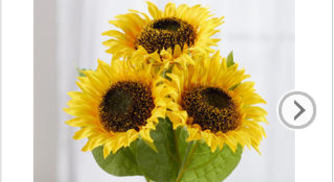 Footer image