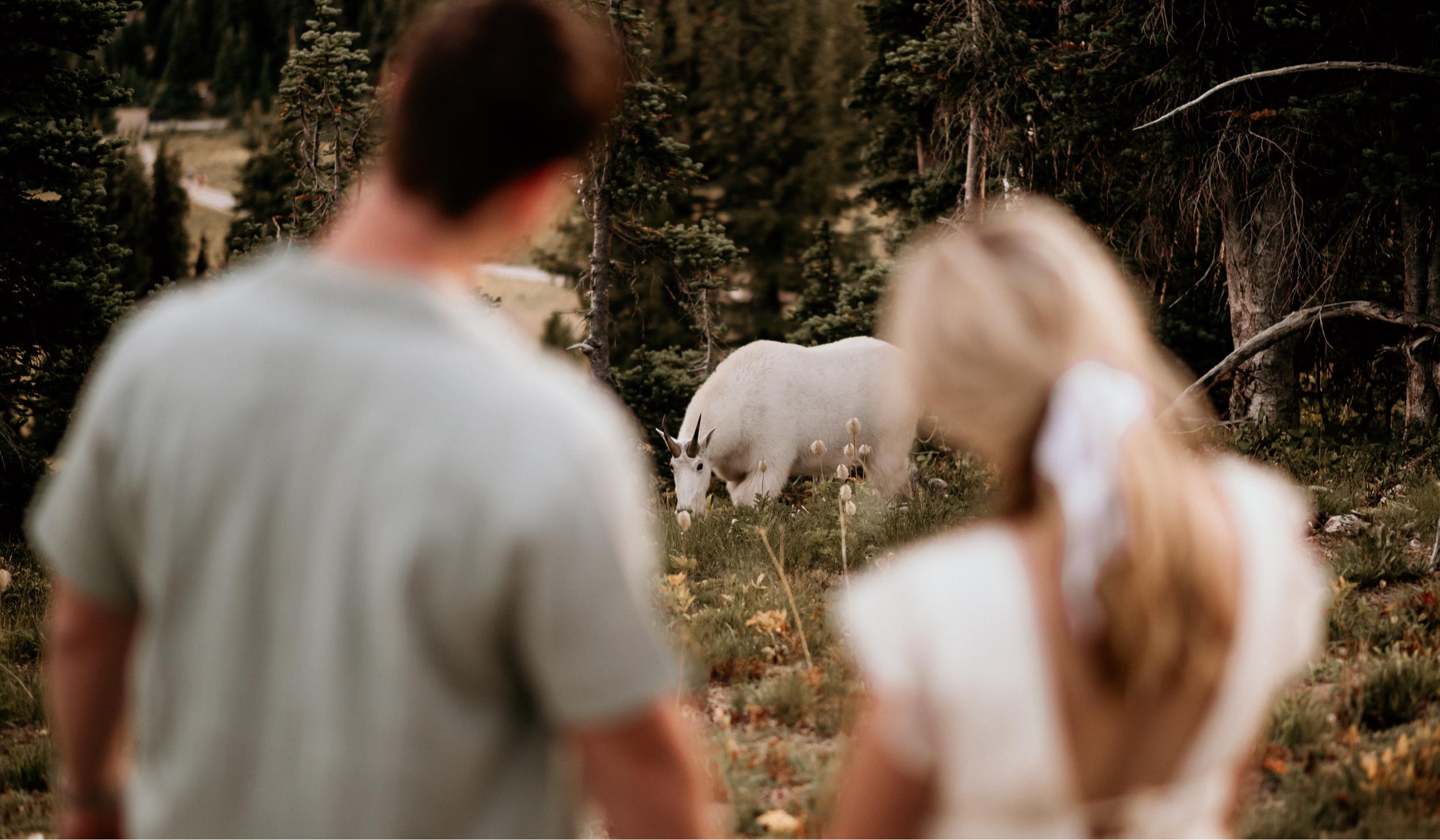 Hero Slideshow Image 2