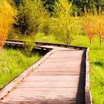 Clear Creek Trail