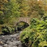 Rockefeller State Park