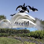 SeaWorld