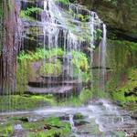 Neversink Gorge Trails